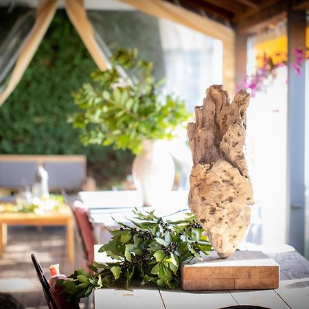 Pin De Stelle Bed & Breakfast San Martino  ภายนอก รูปภาพ