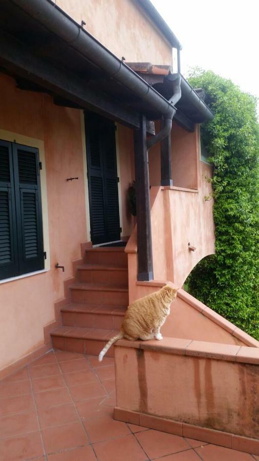 Pin De Stelle Bed & Breakfast San Martino  ภายนอก รูปภาพ